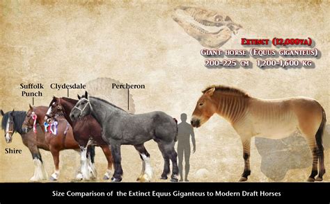 Prehistoric Giant Horse