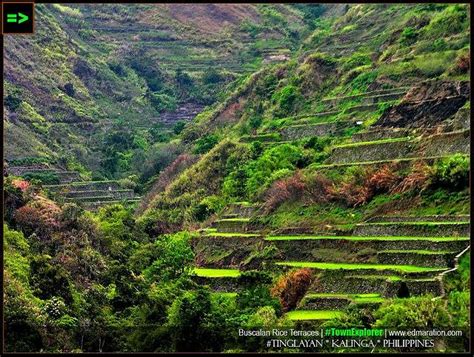 TINGLAYAN RICE TERRACES (2026) All You Need to Know BEFORE You Go (with ...