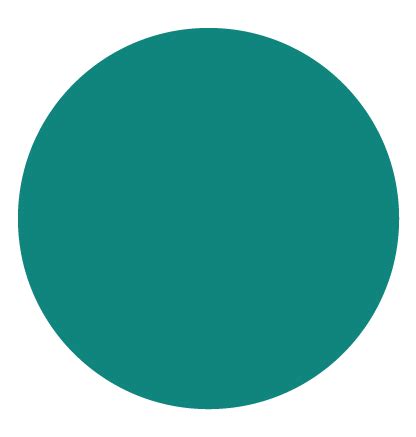 Image result for Circle Code in JSON Format