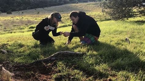 Upper Hutt Forage fun!, Harcourt Park J1, Upper Hutt, 3 January 2026 ...
