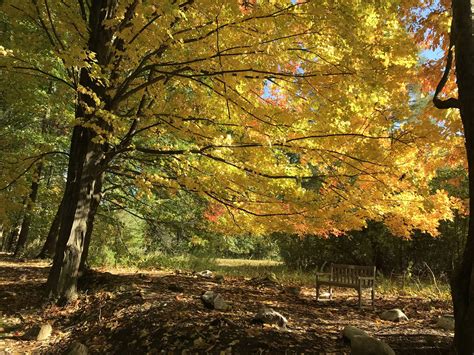 White Haven Memorial Park Home - White Haven Memorial Park