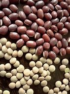 Beans 的图像结果