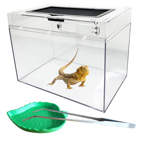 Bearded Dragon Cages Plans