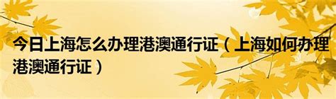 今日上海怎么办理港澳通行证（上海如何办理港澳通行证）_华夏文化传播网