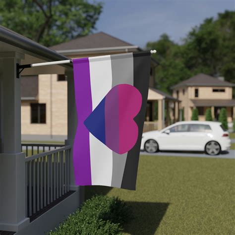 Biromantic Asexual Pride Flag, Biromantic Asexual Pride Stuff, Asexual Pride Flag, Asexual Pride ...