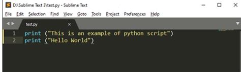 Python Shell Definition 的图像结果
