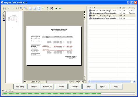 Merge Multiple Tiff Files into One Python 的图像结果