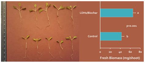 Efficient Adsorption of Nitrogen and Phosphorus in Wastewater by Biochar