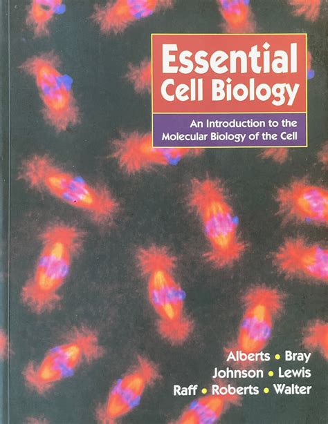 Essential cell biology by Alberts, B. et al. (eds.): Fine Paper covers ...