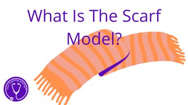 Image result for Scarf Model Explained
