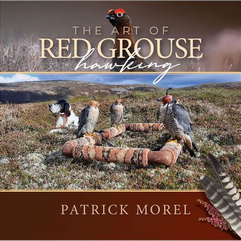 Buy THE ART OF RED GROUSE HAWKING Book Online at Low Prices in India ...