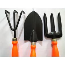 Seeds Combo packs for Home gardening