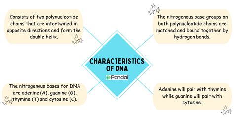 Nucleic Acids