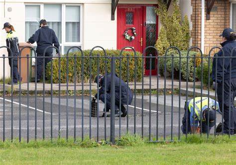 Father and daughter found dead in Finglas named locally as gardaí ...