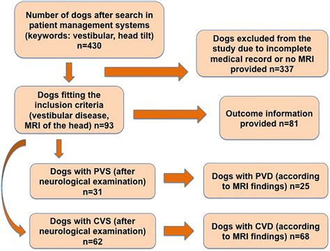 Vestibular disease in dogs: association between neurological ...