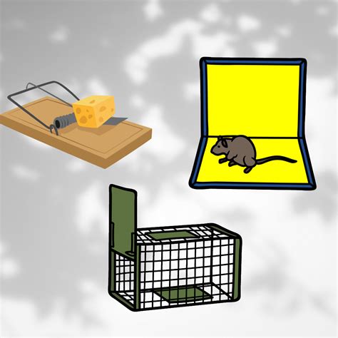 What are the best rat traps available in the UK? – MOUSE TRAPS