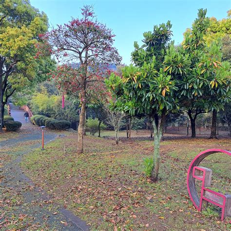 SEOGWIPO CHILSIMNISI POETRY PARK - All You Need to Know BEFORE You Go ...