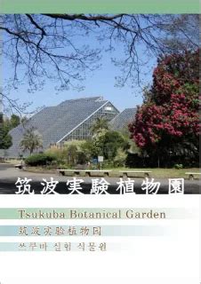 Image result for Visual Perception Components
