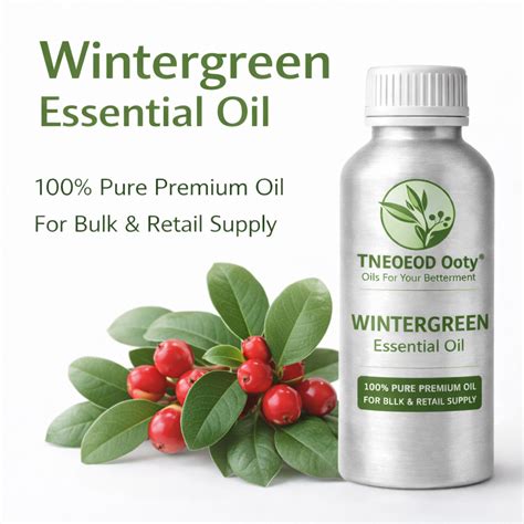 Wintergreen Essential oil / Gaultheria oil - 100% Pure | Soothing ...