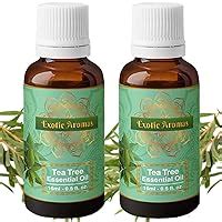 Anveya Australian Tea Tree Essential Oil | For Face, Skin & Hair | Best ...