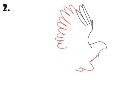 How To Draw a Hawk - EASY Drawing Tutorial!