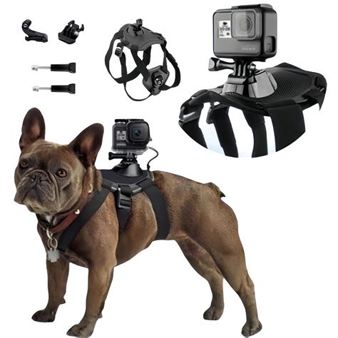 Amazon.com : Dog Harness for Gopro, Dog Harness Vest with Buckle Mounts ...