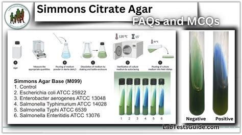 Simmons Citrate Agar 50 FAQs and 30 MCQs | Lab Tests Guide