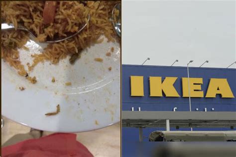Worm found in biryani at IKEA store, notice issued