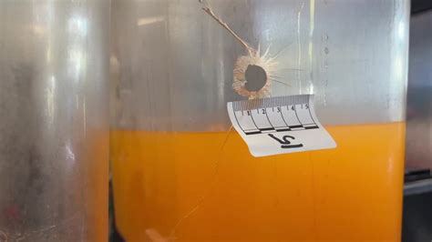 Racine shootings leave 2 dead, including 1 inside Chicken Palace | FOX6 ...