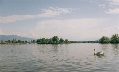 Grüner Damm | Urlaub am Bodensee, Vorarlberg