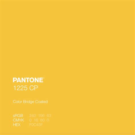 Orange and Yellow Pantone Color Palette Business Card