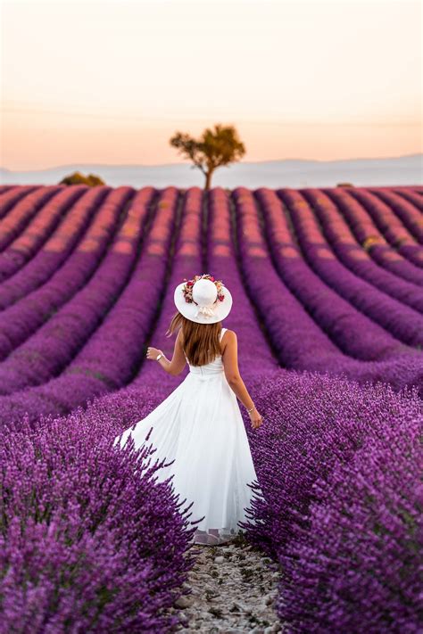 Complete Guide to Visiting the Lavender Fields in Provence | She ...