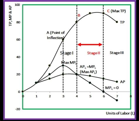 Explain with diagram the three stages of production - Brainly.in