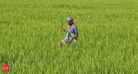 India-Pakistan standoff: Farmers in border areas at standstill as ...