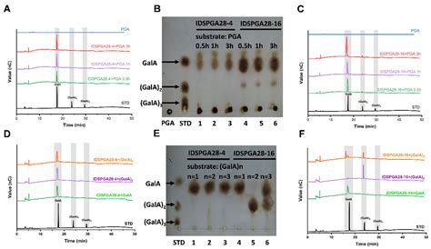 Characterization of Two Novel Rumen-Derived Exo-Polygalacturonases ...