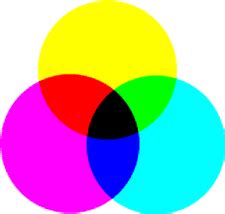 El papel de la luz y la estructura en los colores de las plumas