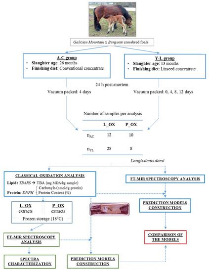 Foods | Special Issue : Processing and Preservation Technologies for ...