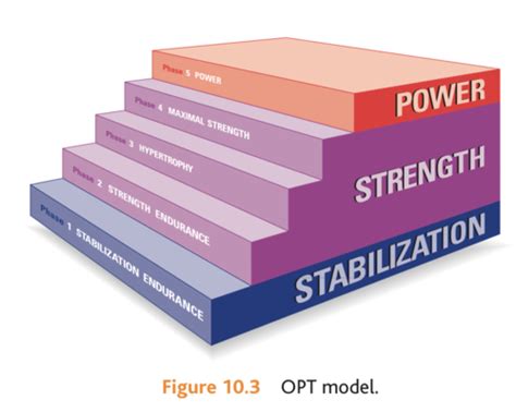 OPT Model Explained 的图像结果