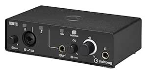 Steinberg IXO12 USB-C Audio Interface (Black) : Amazon.in: Musical ...