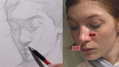 Image result for Proko Figure Drawing Course Free Download