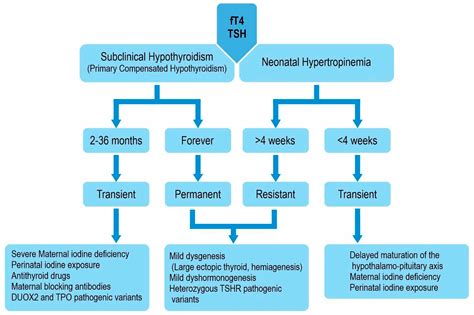 Clinical Insight into Congenital Hypothyroidism Among Children