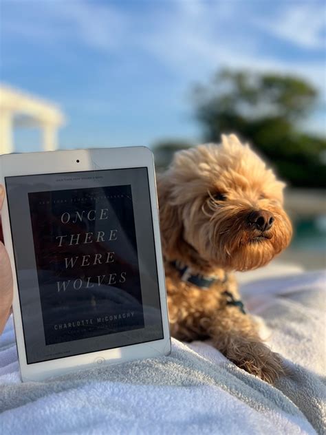 The Best Books I Read In 2022