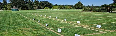 DLF Plots Panipat | Upcoming Plotted Development