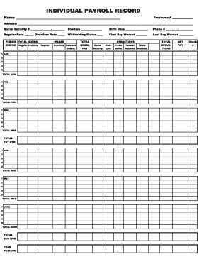 Individual Payroll Record 2020-2026 - Fill and Sign Printable Template ...
