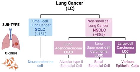 Role of NRF2 in Lung Cancer