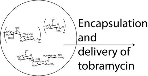 Alginate/Chitosan Particle-Based Drug Delivery Systems for Pulmonary ...