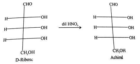 D-Ribose when treated with dilute `HNO_(3)` forms.