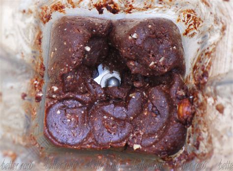 Tortoise Cake Tutorial 的图像结果