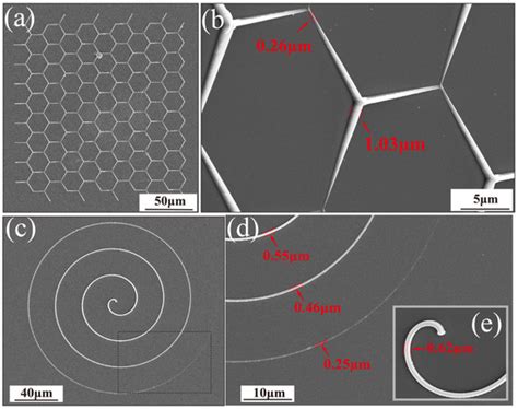 Fabrication of Micro/Nano Dual Needle Structures with Morphological ...