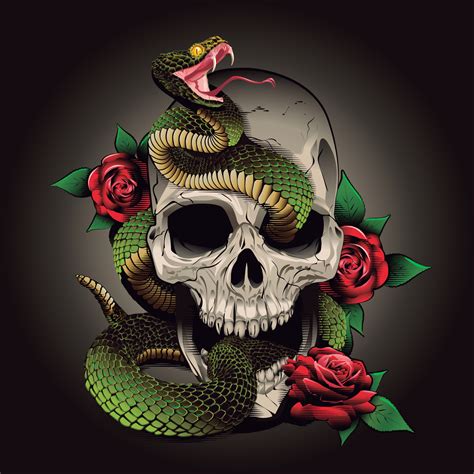 skull snake and roses. Vector illustration. engraving style 17003810 ...